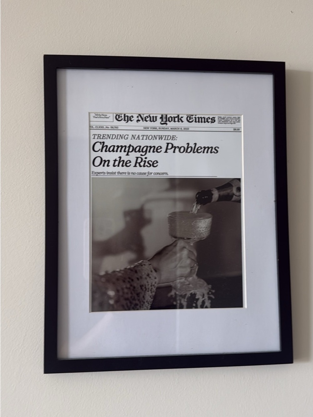 8x10 framed Champagne Problems Black Framed Wall Art
